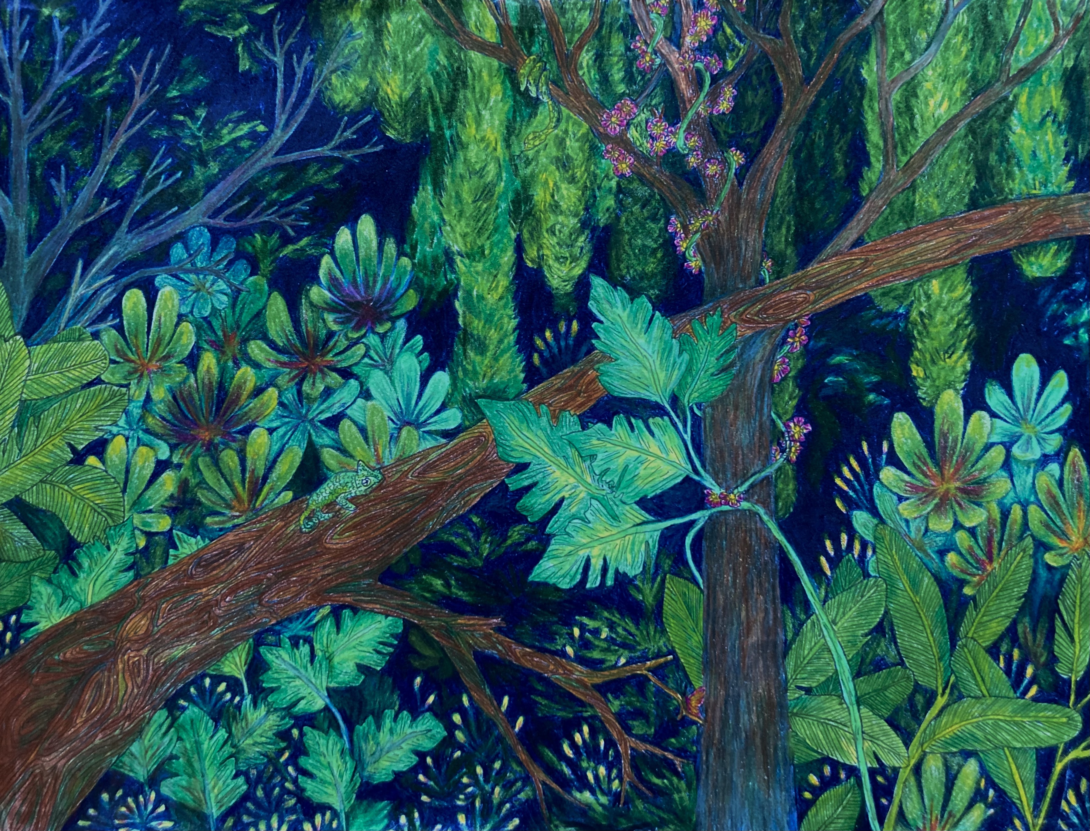 Untitled (Rainforest I)